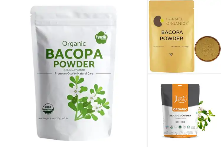 Detailed view of Best Bacopa Powders for Calm Focus and Mental Clarity