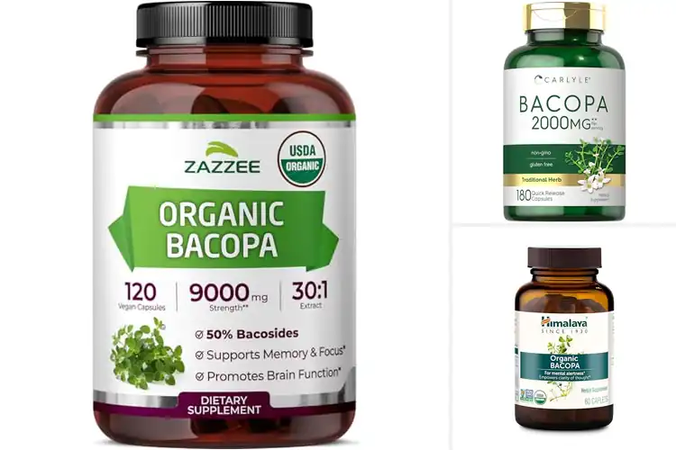 Detailed view of Best Bacopa Supplements for Sharper Focus