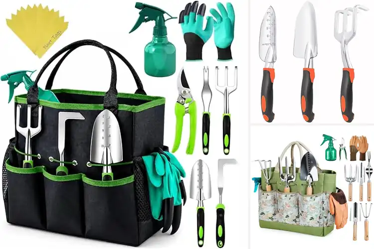 Detailed view of Best Garden Tools: 10 Must-Haves for a Thriving Garden