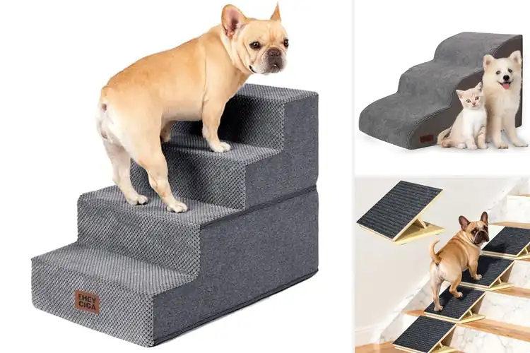 Detailed view of Best Pet Steps: Top 10 Picks for Your Furry Friend’s Comfort