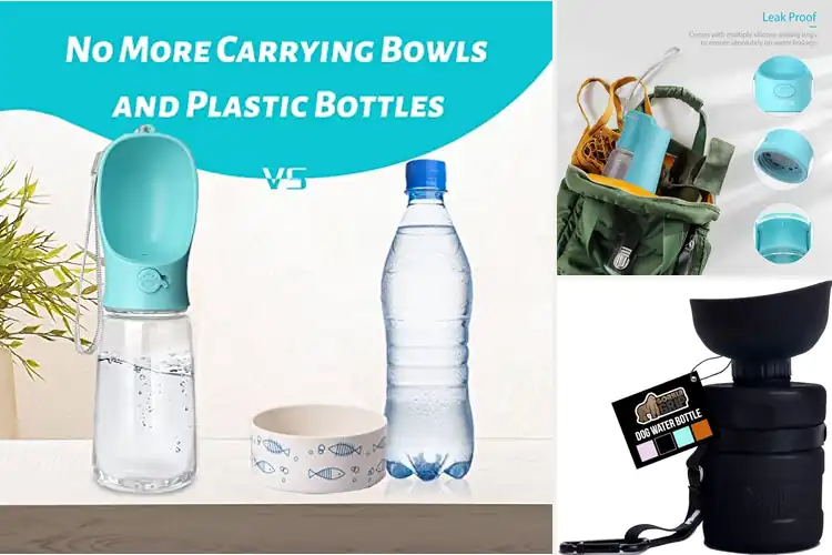 Detailed view of Best Portable Dog Water Bottles