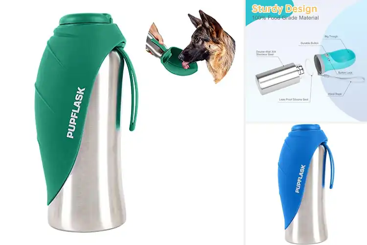 Detailed view of Best Stainless Steel Dog Water Bottles
